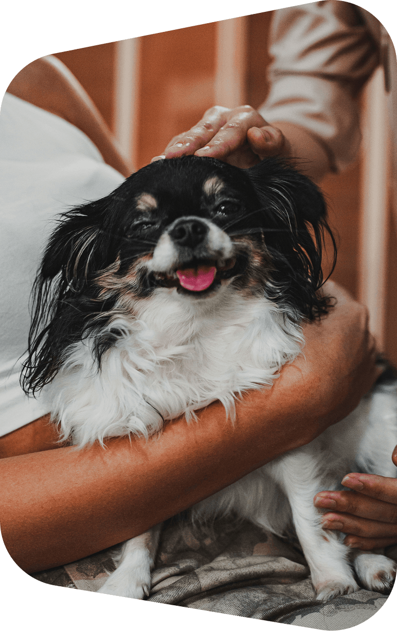 A person cuddling a small dog
